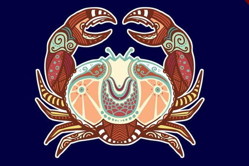 2026年属马双鱼座事业运势如何，2025年属马最旺的饰品正品是哪一款？