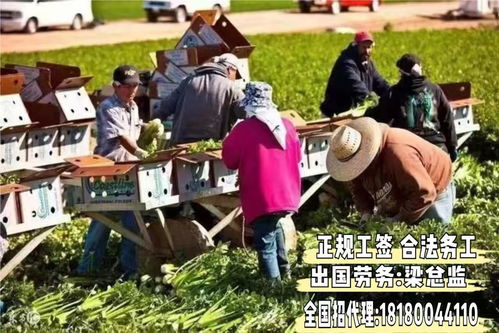 二、为什么会有人把印度禅修旅游团列入愿望清单？