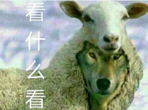 将披着羊皮的狼夜半敲门：从民俗传说到社会心理学视角的深度剖析