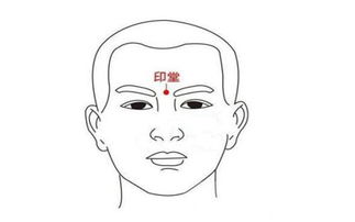 颧骨在面相学中的地位与象征意义