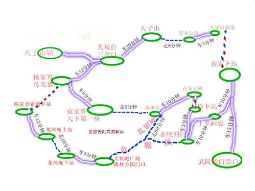 租 车服务推荐