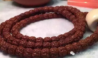 “菩提”这名字， 一听就是个有故事的主儿
