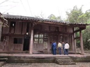 杨公正宗风水和杨公风水详细介绍分别是什么？