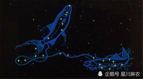 双鱼座和金牛座婚姻配对指数是多少？