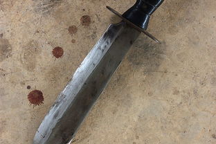 欲钱买刀打生肖和欲钱卖刀到北京打生肖分别指什么生肖？