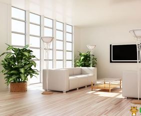 三、 植物隔断布局位置及材质考量