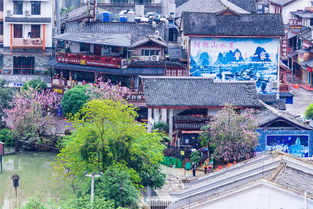 吃在荥阳：一场味蕾的赌博