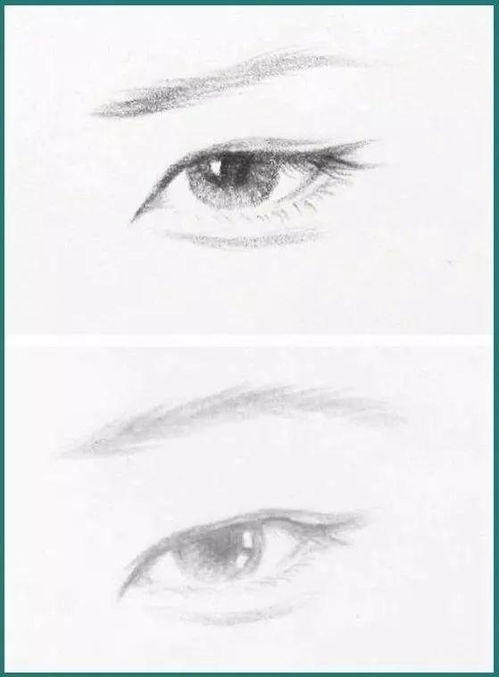 二、  圆眼睛与细长眼睛的对比研究：悟性、贪欲与稳态的博弈