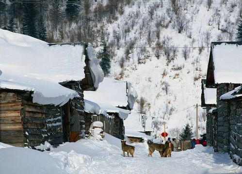 冬季——白雪+冰封