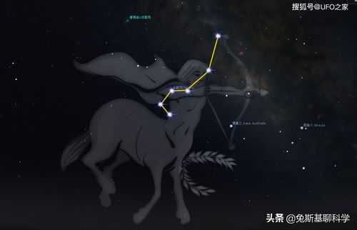 一、性格与外观特征