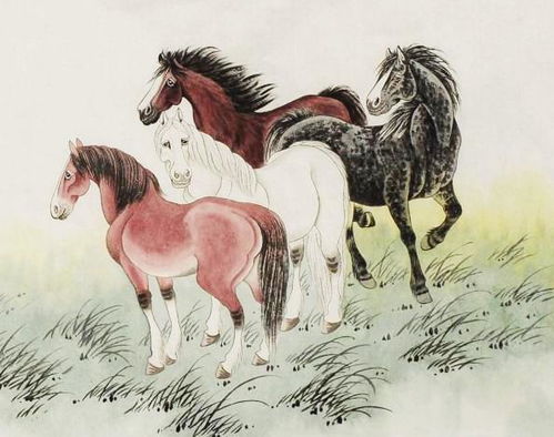 2026年属马人的月运势和流年运程具体是怎样的？