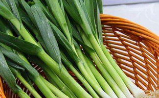 蒜苔到底是个什么鬼？