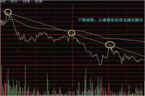 2. 龙脉走势与形态的名词化表达