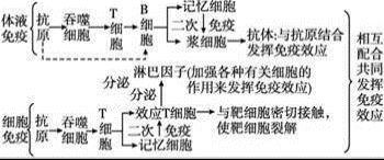 (4) 六仪击刑