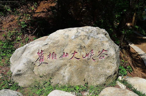 大门前摆放假山石头风水会影响运势吗？