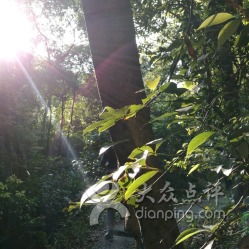 王子山森林公园这就是个爬山减肥的好地方顺便堪堪野花