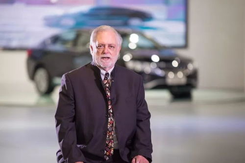 3. 叶磊？石头叶子？