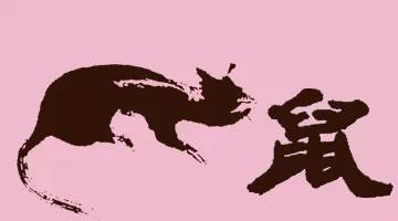 2026年属鼠人的运势及全年运程具体是怎样的？