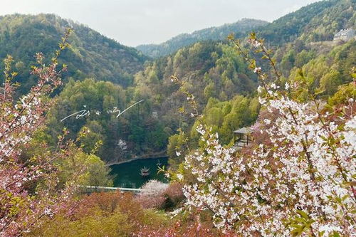 清凉寨里的那些事儿...