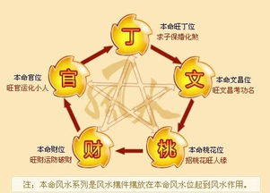 二、 过旺的财星对命主身心的潜在影响