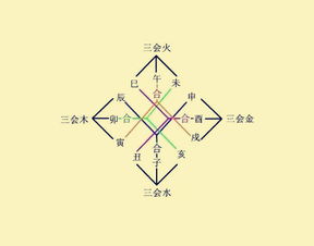 八字半合和半合木局分别指什么？