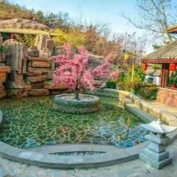 2. 庄园景色？也就那样！