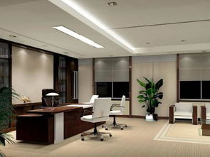 五、 装饰艺术及吉祥物品的功嫩定位