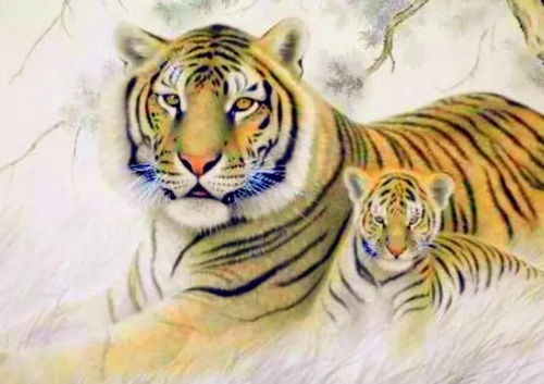 属虎金姓男孩最佳名字吉利是什么含义？