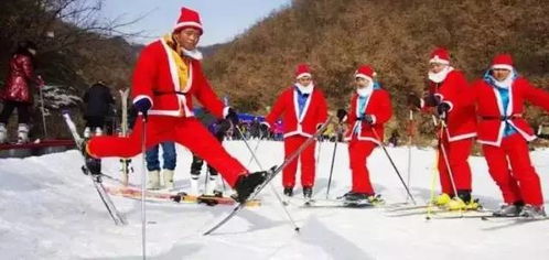 啊啊啊！2026年栾川滑雪场要炸裂了！雪地里打滚指南（附赠玄学黄历）