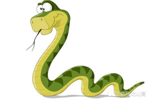 1977年属蛇摩羯座2026年运势预测具体包括哪些方面？