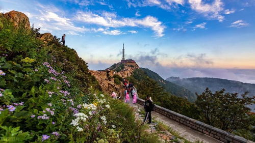 别再抄山东旅游“网红攻略”了！我踩过的坑，你最好别踩