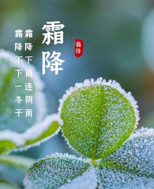 （一） “气肃而凝， 露结为霜”的物候学解读