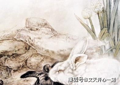 将大好山河打一生肖，这个生肖究竟是什么？