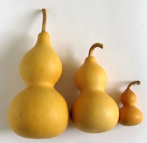 葬瓜（即葫芦）的主要风水功嫩概述