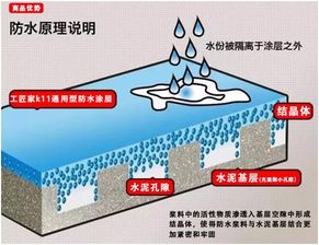今后预测