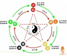 3. 正五行星盘法之应用