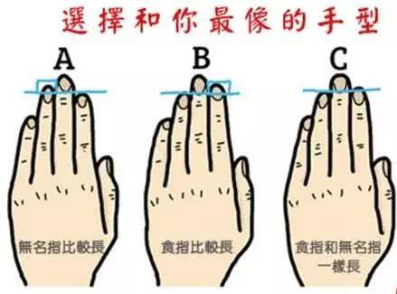 一、 手型形态的结构性描述