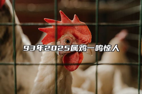 财富有管理提议