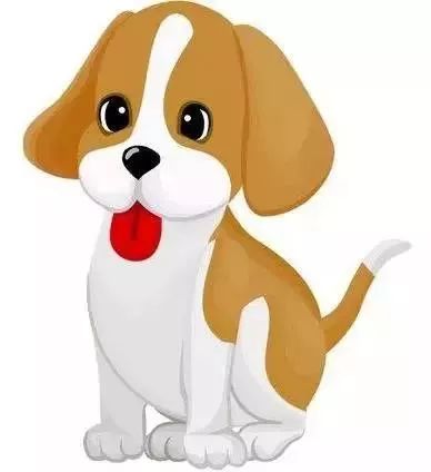 狗年生肖是哪位？为何说狗年惹火上身的生肖会遭遇什么？