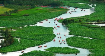 中午：农家菜与意外惊喜——被骂了一顿