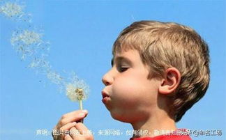 星座生肖大乱炖