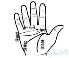 桃花运势干扰与三角关系