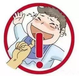 生肖星座关联解析