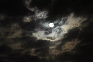 五、对“月黑风较高之夜”事件的反思