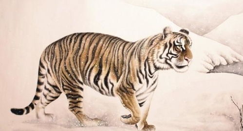 （三） 寅虎与卯兔：木气生发与心肺功能的调摄