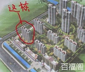 5. 环境绿化与空气质量