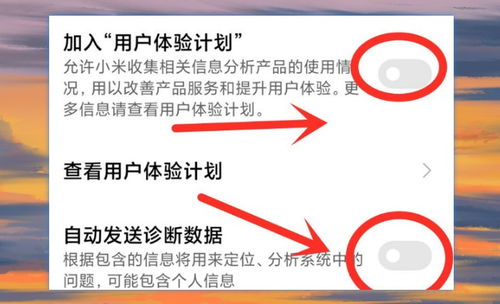 属鼠者：机灵伶俐与财源滚滚之布局
