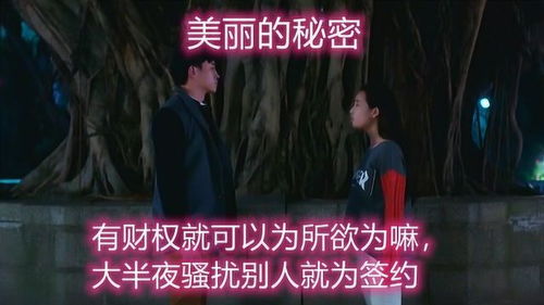 京剧团与1949年后文化底蕴迁移的关联