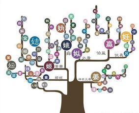 周代国姓的确立与分封体系