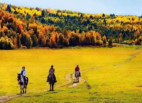 注意：不要在中午12点去晒太阳，否则会被烤成肉干！⚠️⚠️⚠️